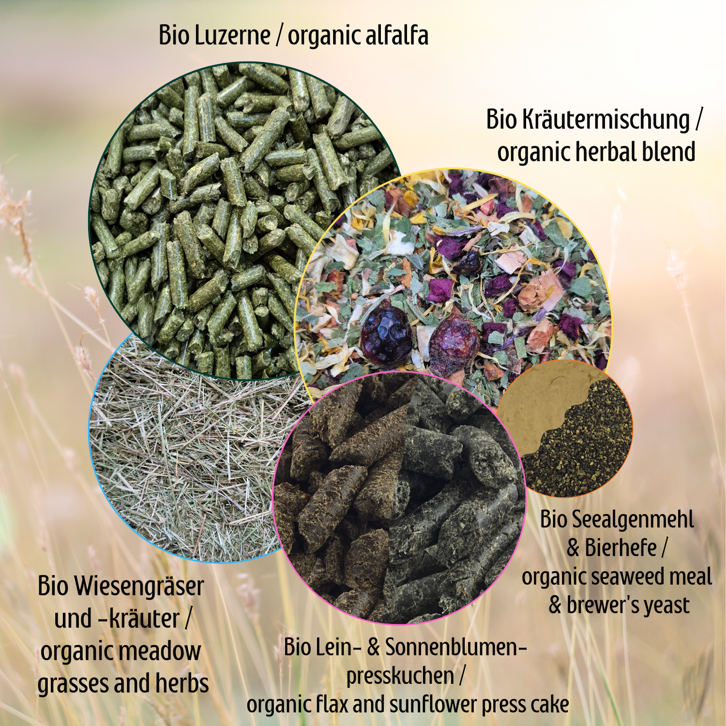 Bio Natur Pur Extra-Fit – Advanced Natural Feed
