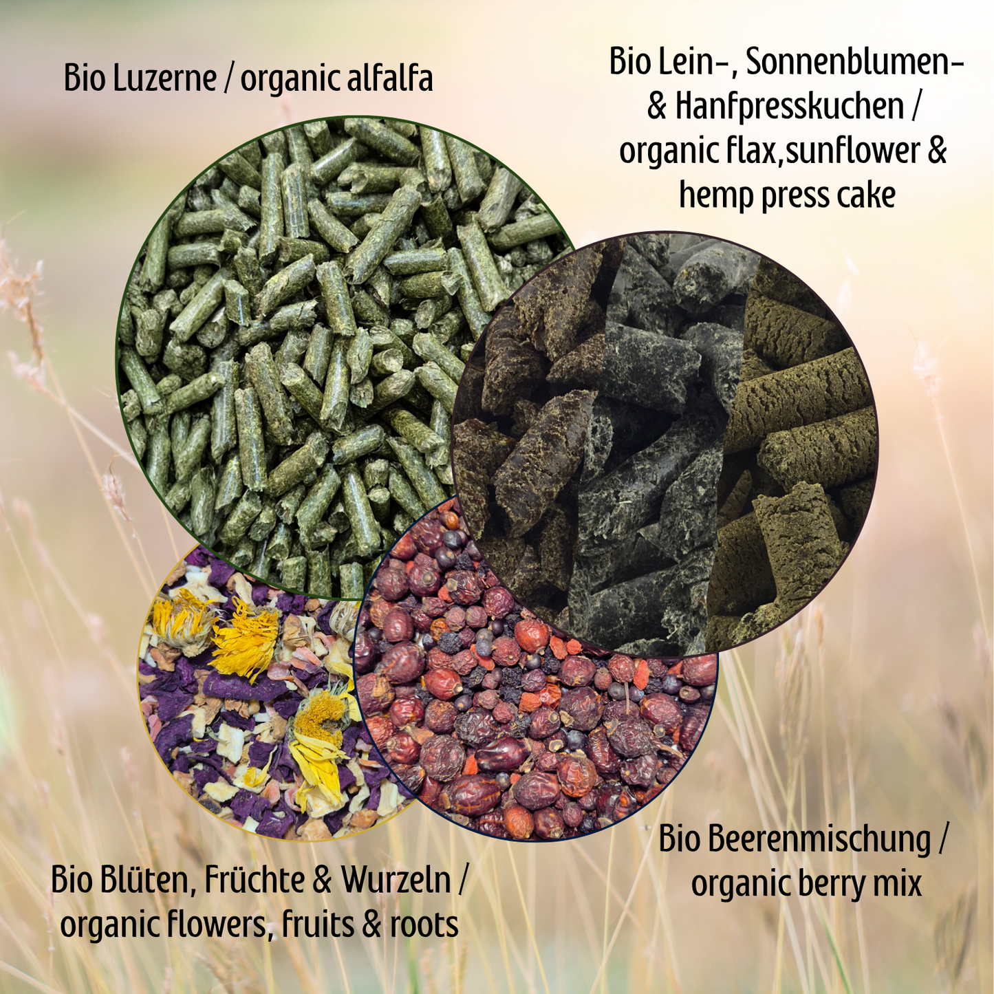 Bio Natur Pur Spezial Haferfrei – Grain-Free Performance Feed