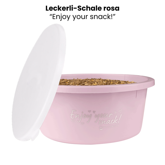 Leckerli-Schale mit Deckel 2 Liter