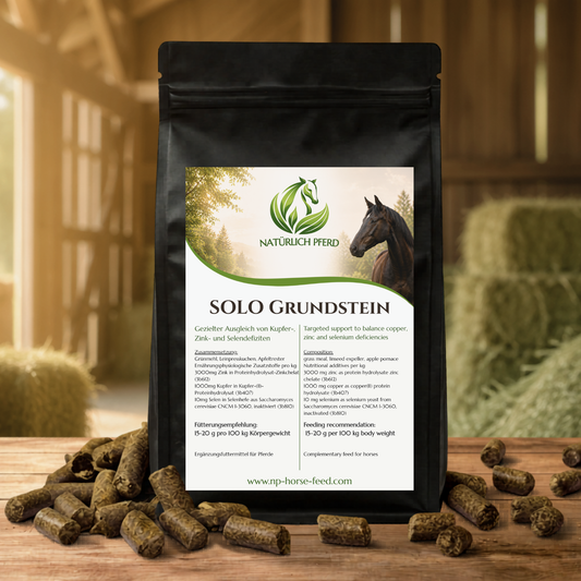 SOLO Grundstein