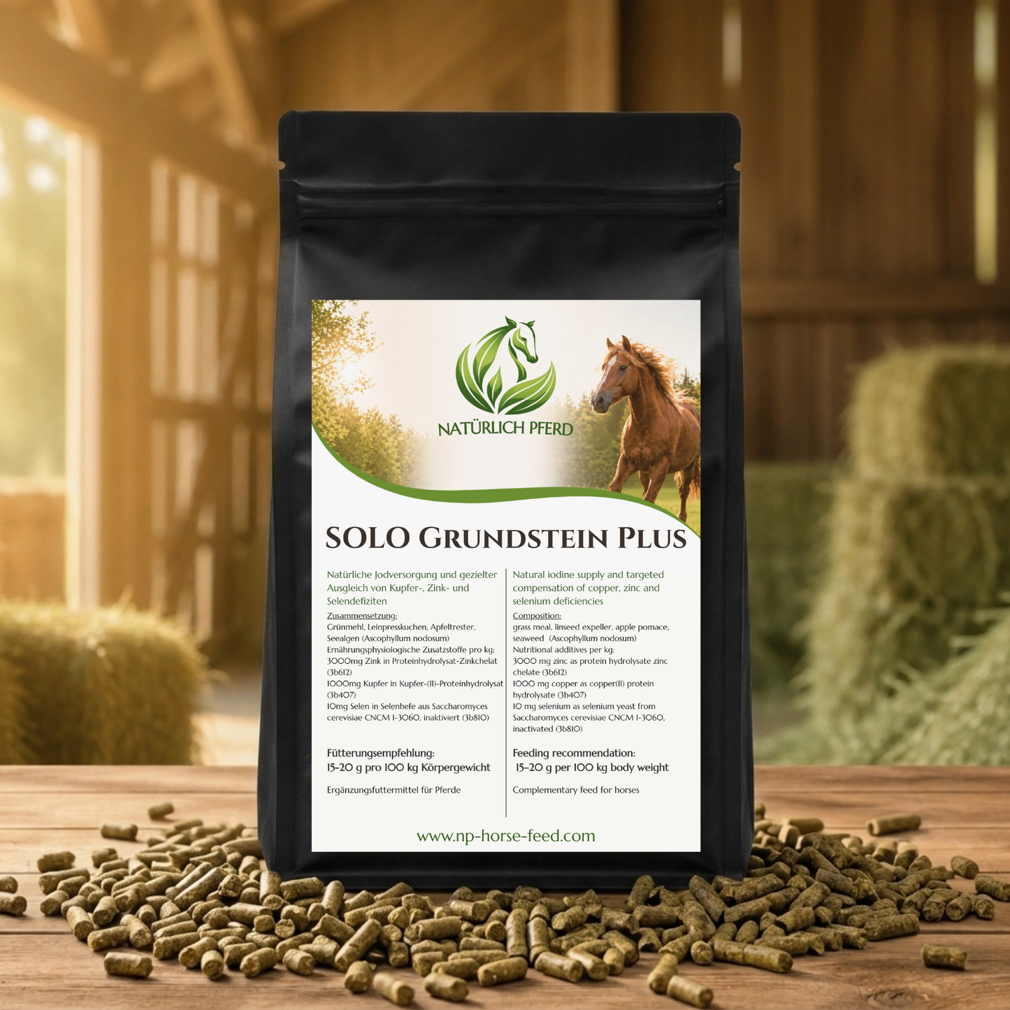 SOLO Grundstein Plus