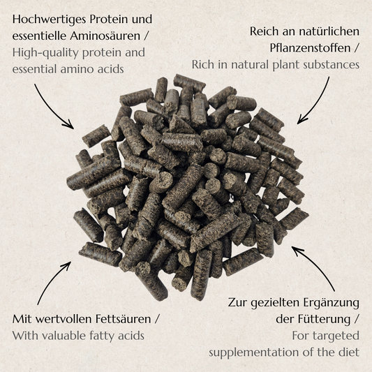 Bio Schwarzkümmelpresskuchen